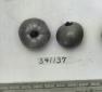 Click for 1 image(s) for this accession. FRUIT